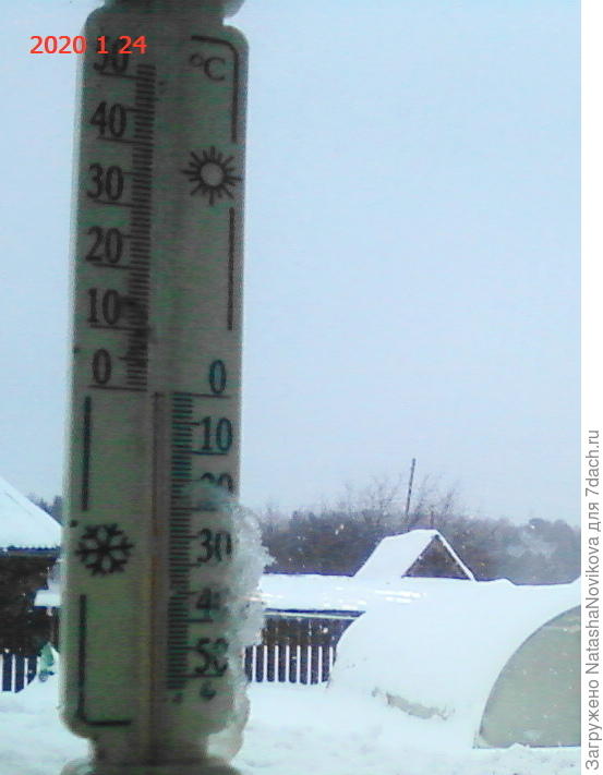 на календаре 24 декабря((