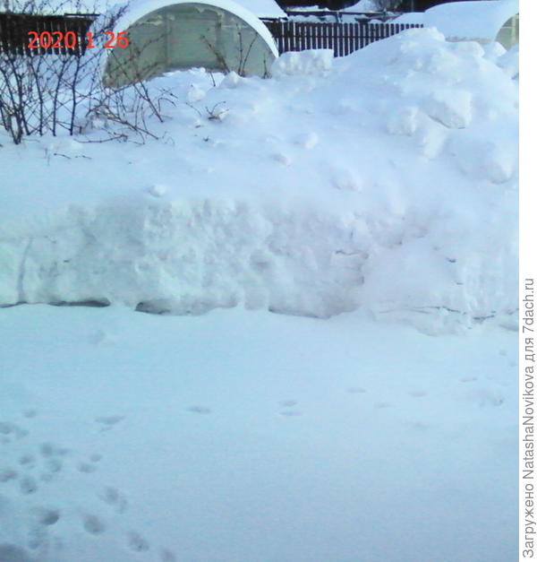 начали откапываться