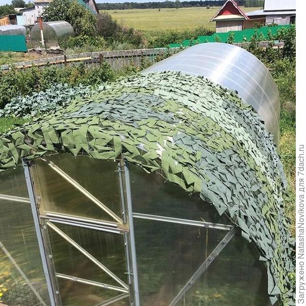 а под такой сеткой, наверное всё таки солнца мало будет, если только в самые длинные июньские дни.