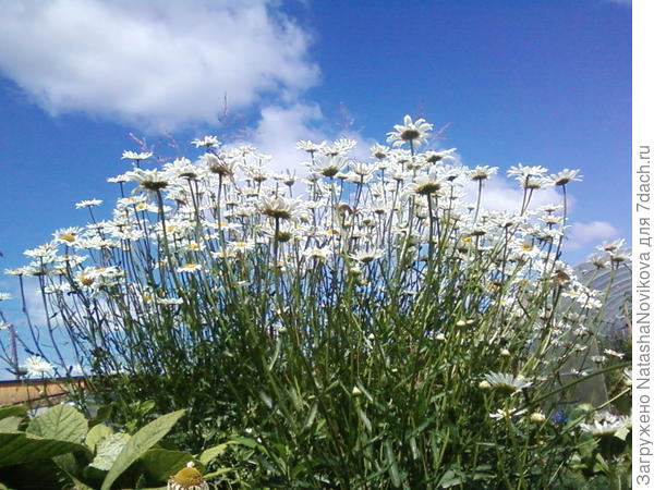 этой фотки ещё не было))