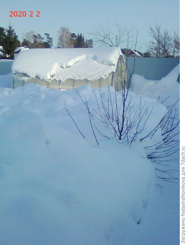 от лучей солнышка снег начал скатываться с теплицы.