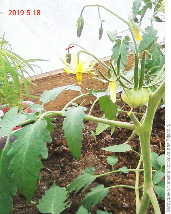 крайний зачёркнут)