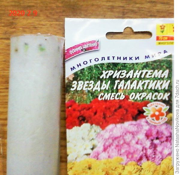 в &quot;улитке&quot;