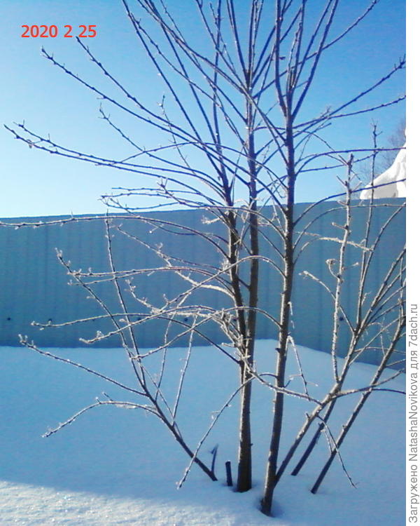 синее-синее небо и даже снег не огорчает))