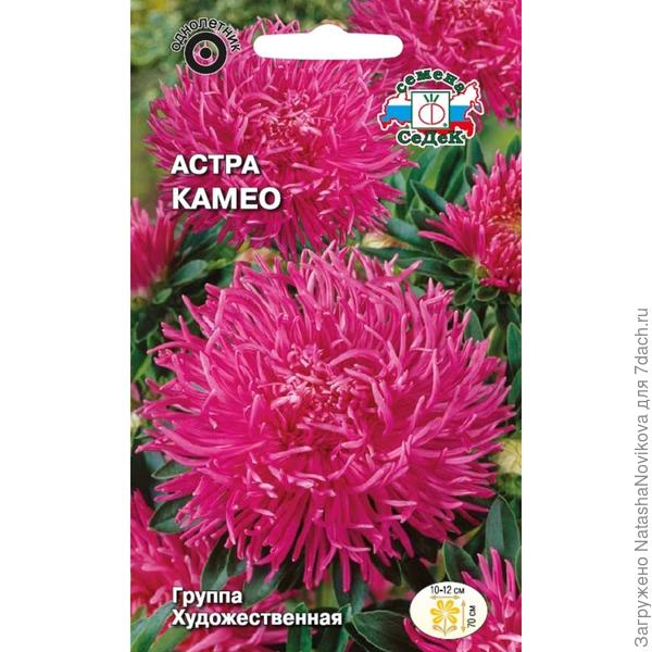 этот пакетик из инета, а мои астры на фото маленько отличаются, вот и думаю писать - не писать