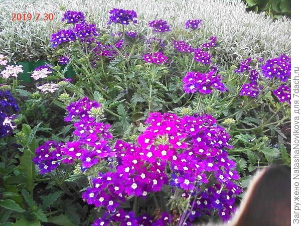 вот эта вообще хорошенькая