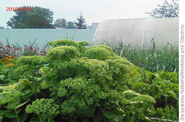 это третья))