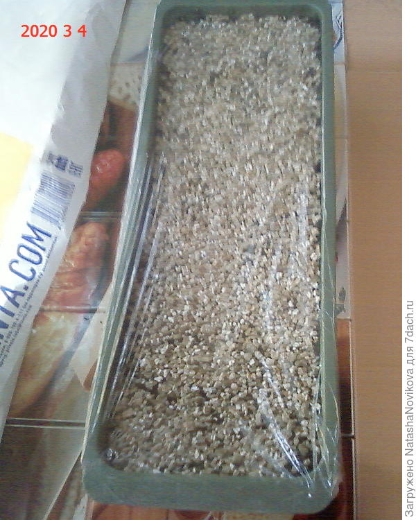 здесь семена от Р/О