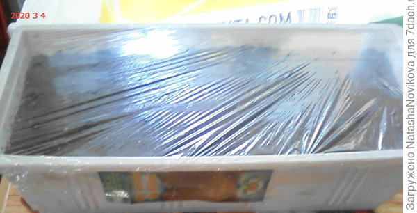 томская грядка - фасовщики голландких семян