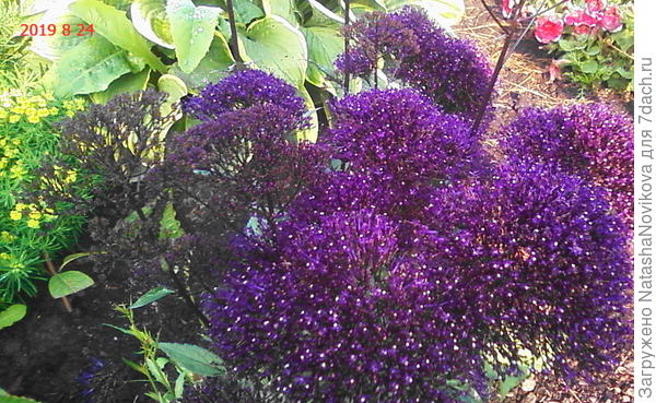 мрачноватый, отказалась