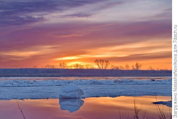 урааааа :)))) Весна :)))) ураааа:)) дождалась:)))