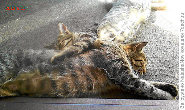 принимаем солнечные ванны