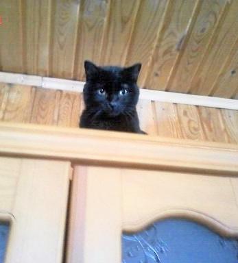 мне сверху видно всё :))