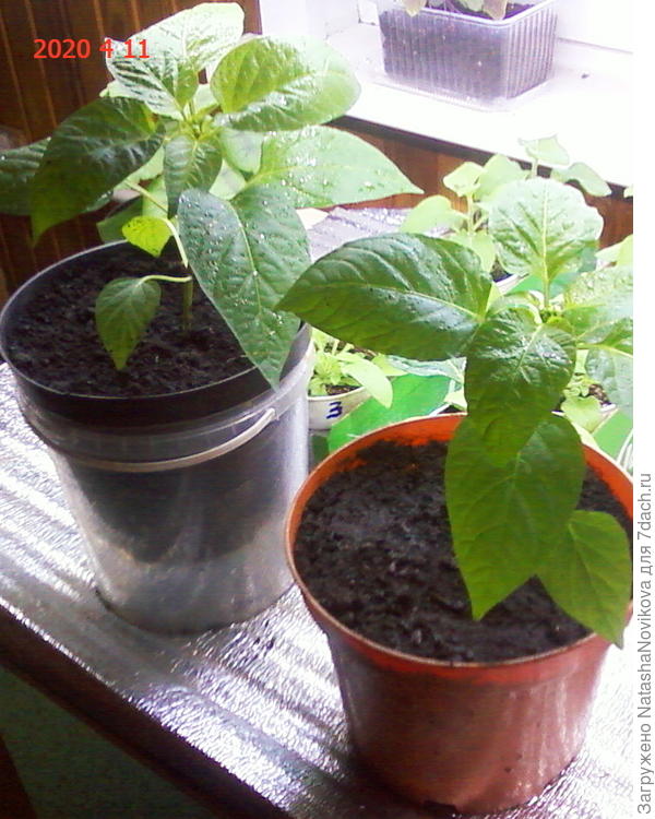 перевалила