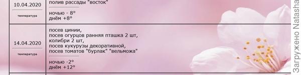 посеяны 14 апреля