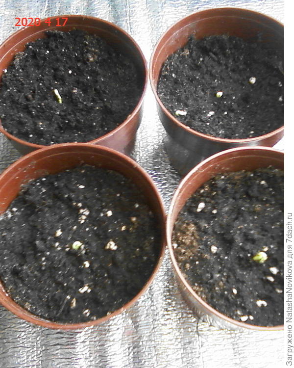 ура)) старт прошли)))