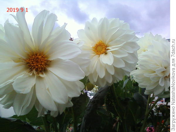 небо красиво всегдА