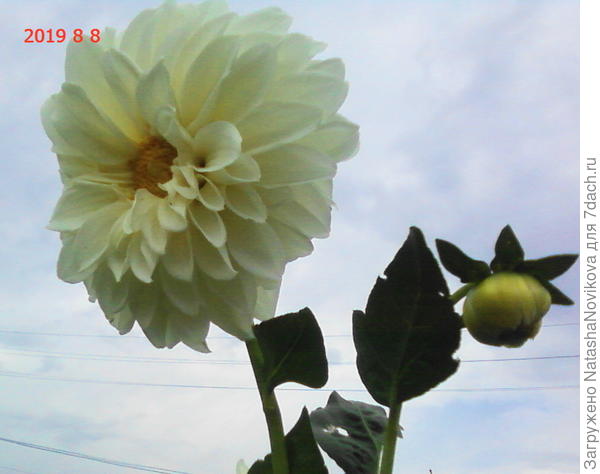 навстречу ветру