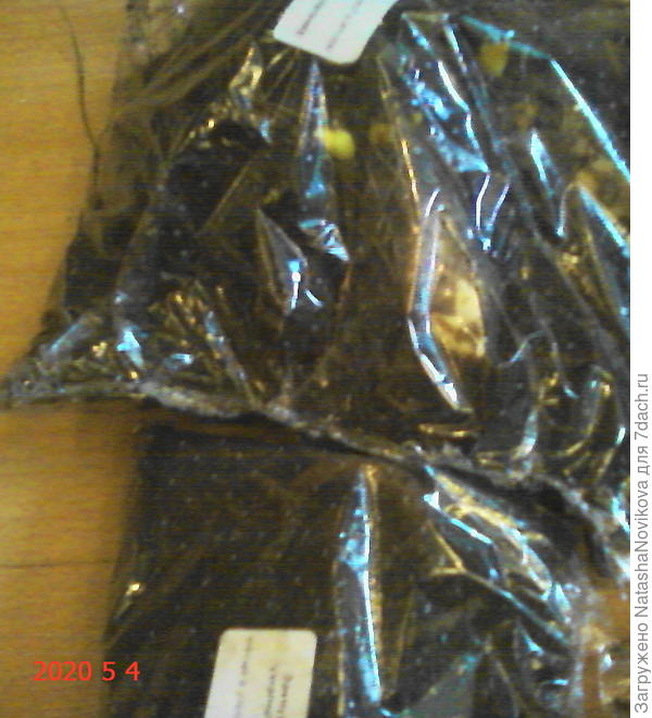 живые росточки:))