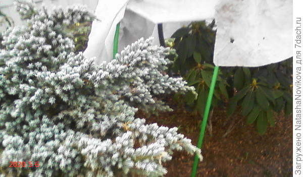 почти новый год((