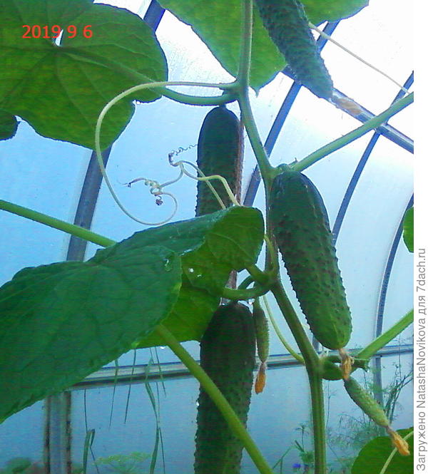 вроде и не редко и не коротко, самое главное - вкус:))