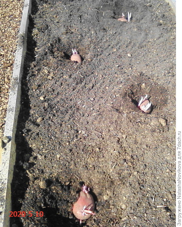 &quot;утро раннеее&quot;