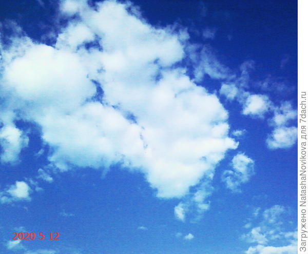 небо над огородом