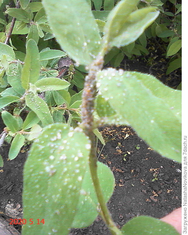 это просто кошмар(((((