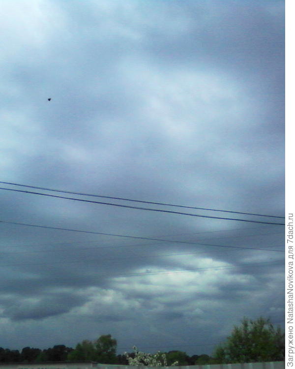 нужен дождь