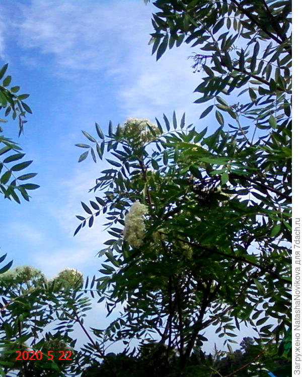 суточный дождь закончился и вот оно, опять синее и летнее