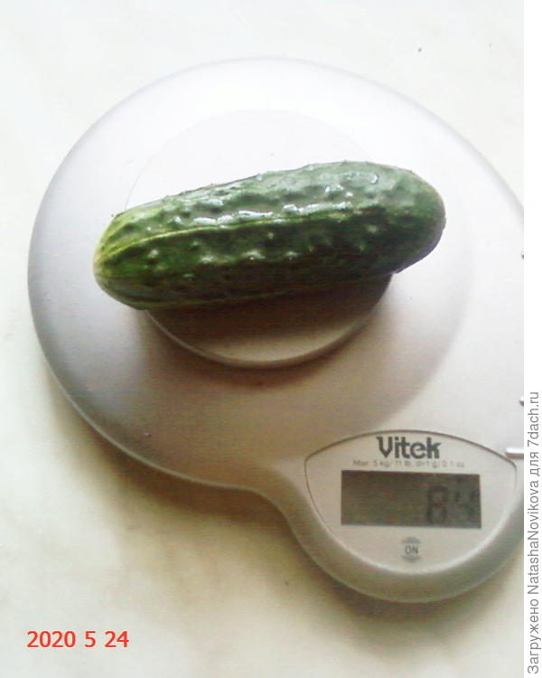 маленький, да удаленький:)) у нас очень пасмурно, тёплый дождик весь день, потому сорри за качество фото