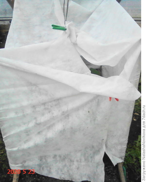 укрыла на ночь