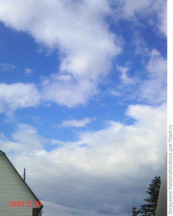 потом пришло лето