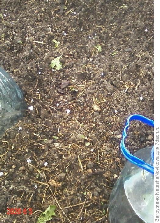 белый, белый, белый...град