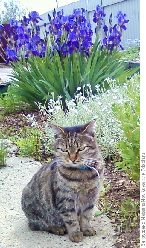 космическим существам всё ни о чём:)) радуемся жизни