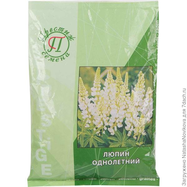 такой покупала белый, теперь он самостятельно размножается