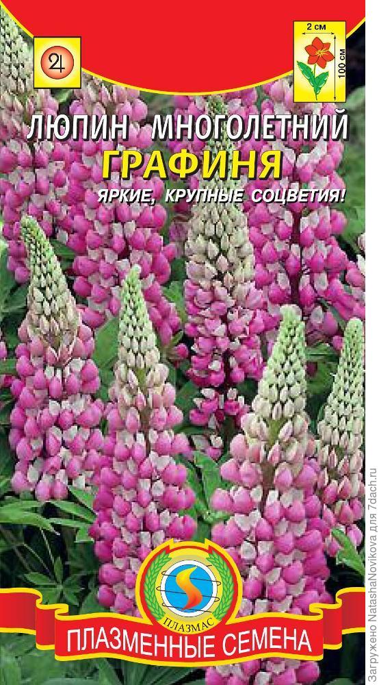 а с этим всё сошлось