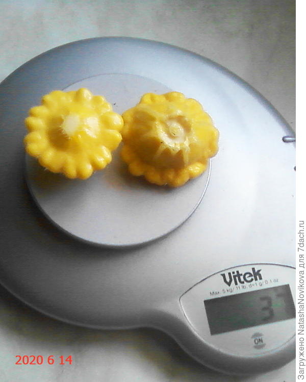 на улице дождь, в доме не фотается, две Копейки общий вес 37 грамм, аромат свежести, схрумкала сырыми