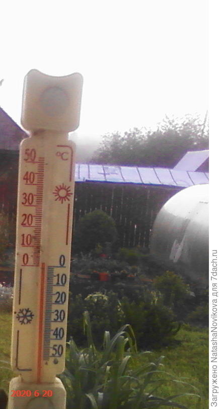 при таких ночных температурах и такой урожай за счастье