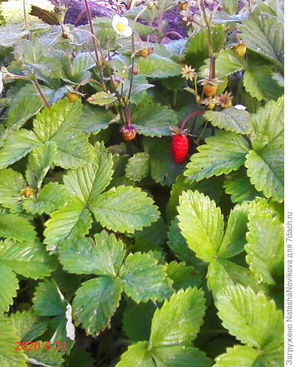 скоро ещё покушаем