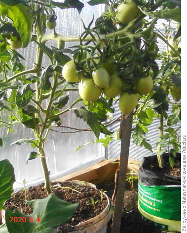 вот тут видно, что ямал почти вполовину ниже москвича