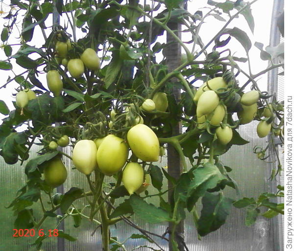 &quot;москвич&quot;