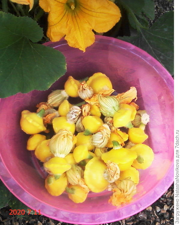 но всё равно вкусные - нежные и сочные.