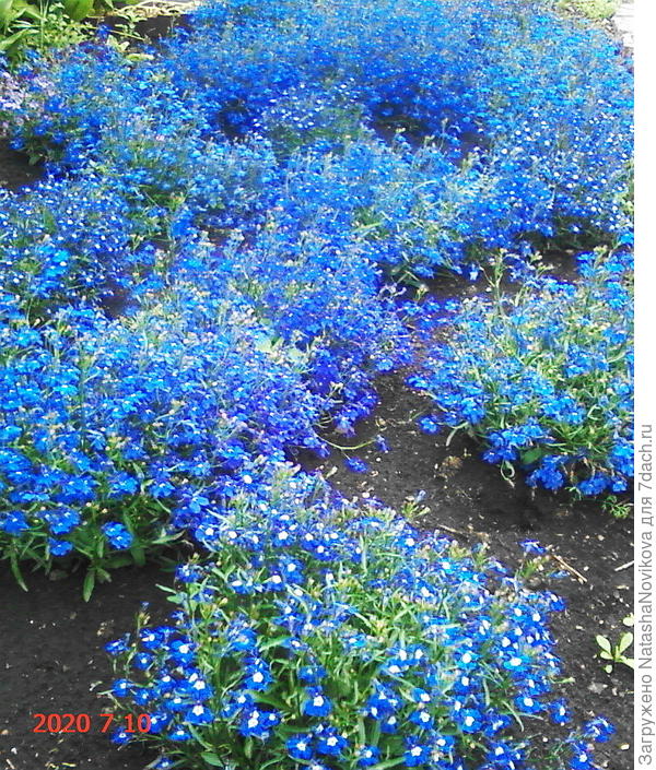 небо в тучах, а на земле - синь