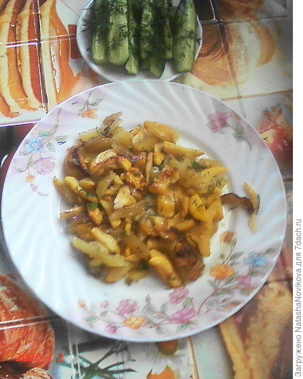 жаренные копейки :))