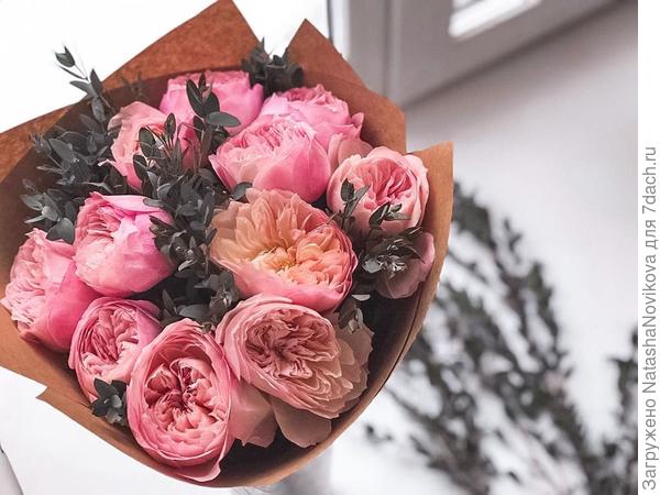 Светлана, поздравляю Вас:))