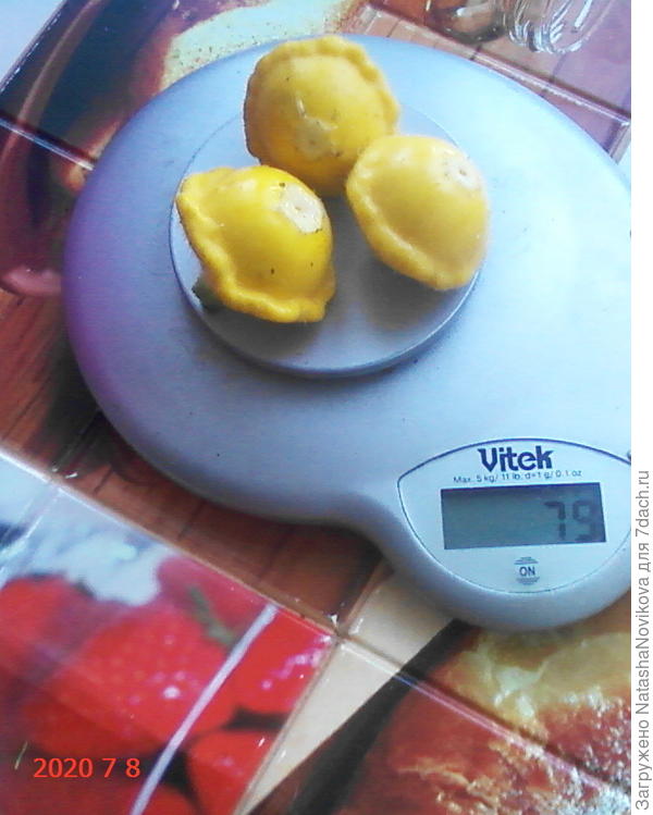 патиссончики