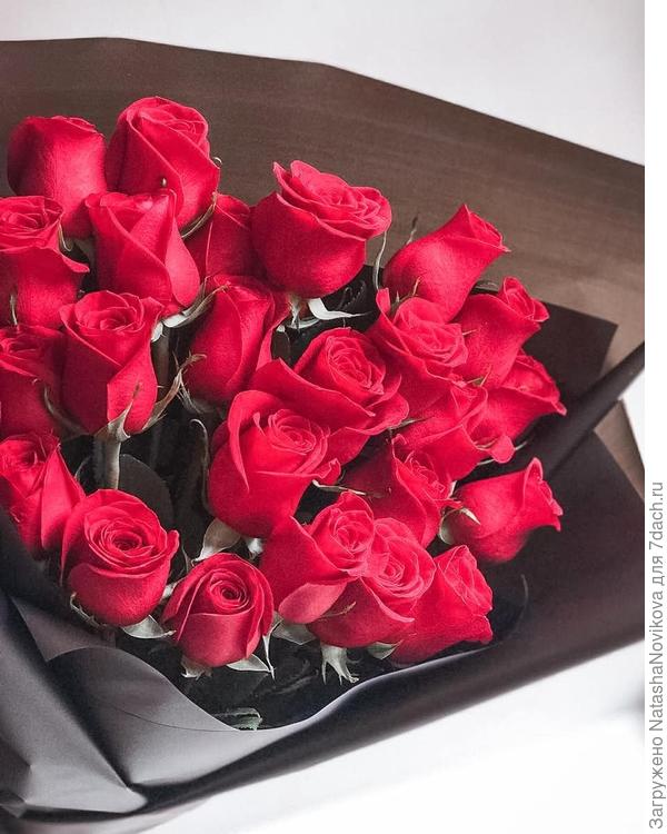 София, с юбилеем Вас :))