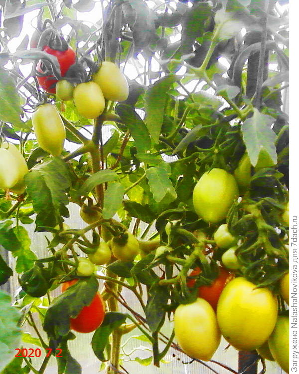 потом москвич начал спеть