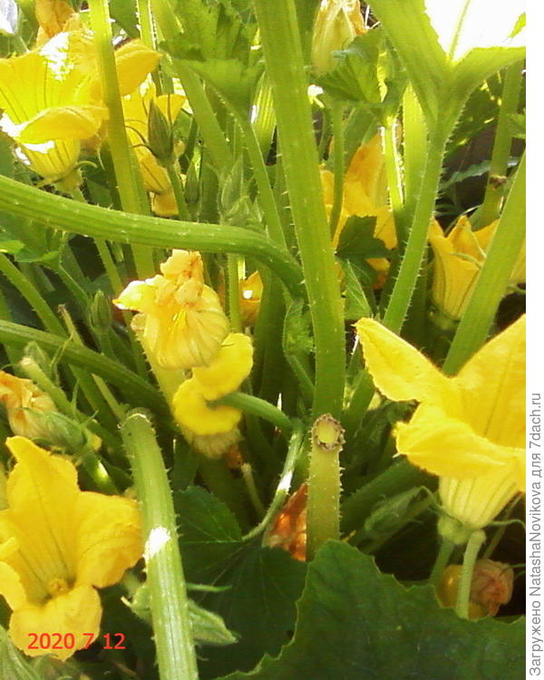 завтра ещё соберу:))